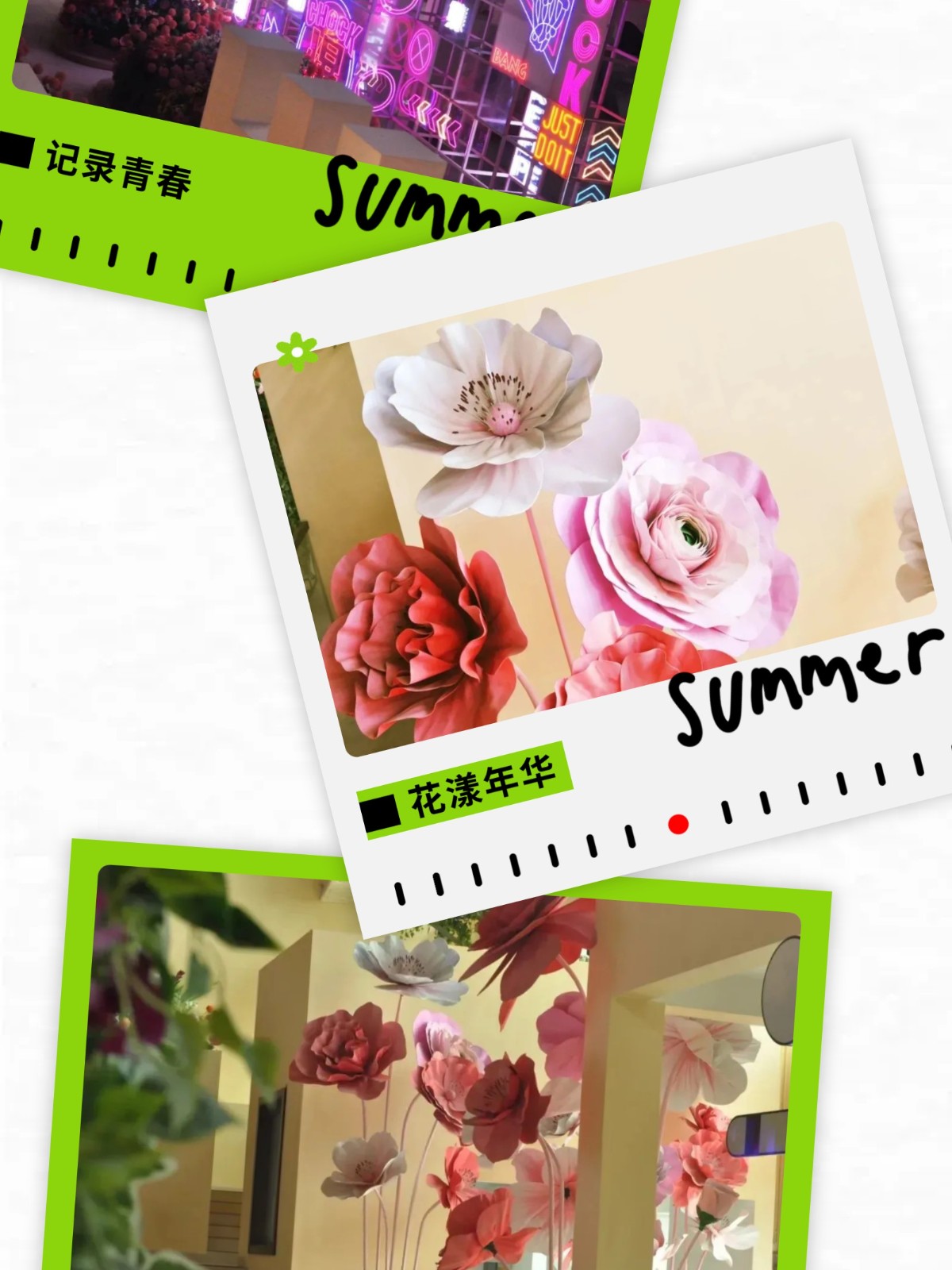 show_644987538_1756608484146_slice_20.jpg show_644987538_1756608484146_slice_20.jpg